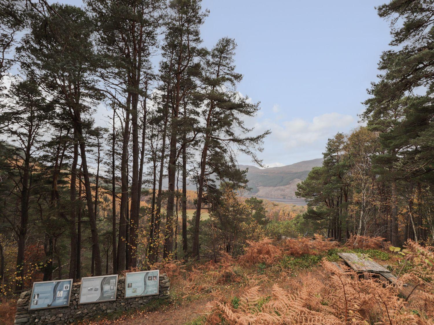 Wendy'S Place - Inverness, Inverness